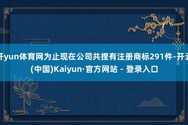 开yun体育网为止现在公司共捏有注册商标291件-开云(中国)Kaiyun·官方网站 - 登录入口