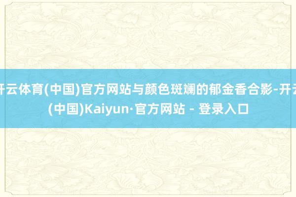 开云体育(中国)官方网站与颜色斑斓的郁金香合影-开云(中国)Kaiyun·官方网站 - 登录入口