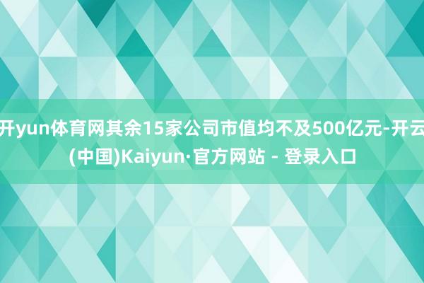 开yun体育网其余15家公司市值均不及500亿元-开云(中国)Kaiyun·官方网站 - 登录入口
